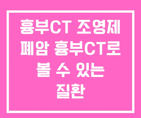 흉부CT 조영제 폐암 흉부CT로 볼 수 있는 질환 흉부CT 조영제 폐암 흉부CT로 볼 수 있는 질환