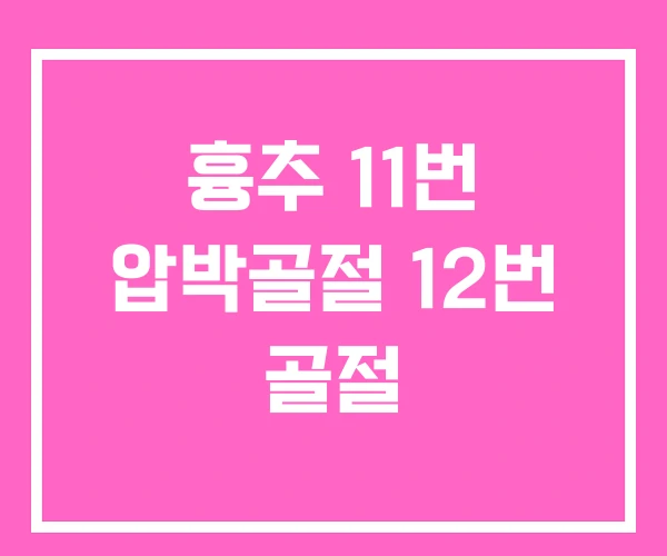흉추 11번 압박골절 12번 골절