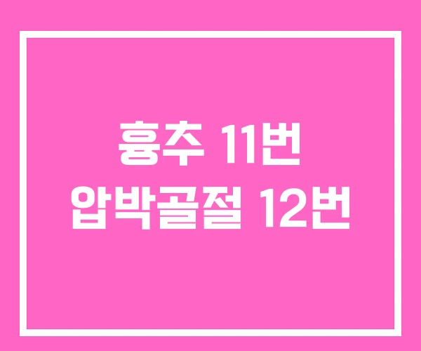 흉추 11번 압박골절 12번 흉추 11번 압박골절 12번