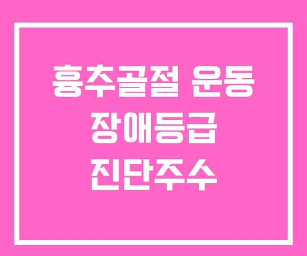 흉추골절 운동 장애등급 진단주수