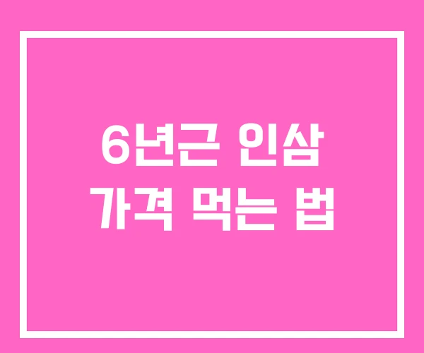 6년근 인삼 가격 먹는 법 6년근 인삼 가격 먹는 법