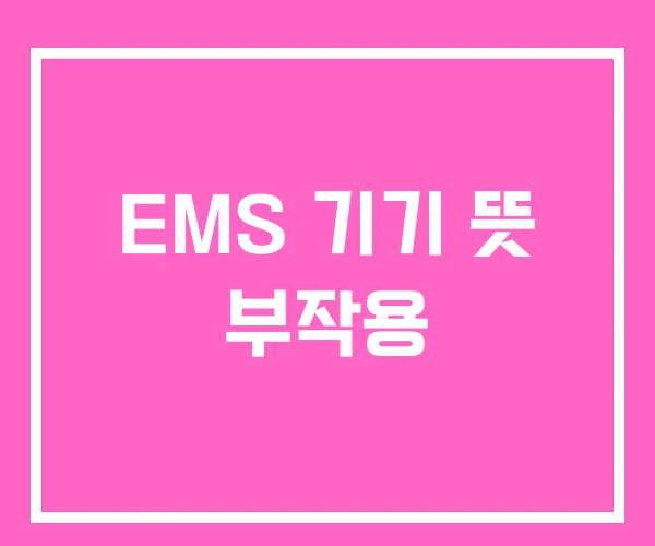 EMS 기기 뜻 부작용 EMS 기기 뜻 부작용