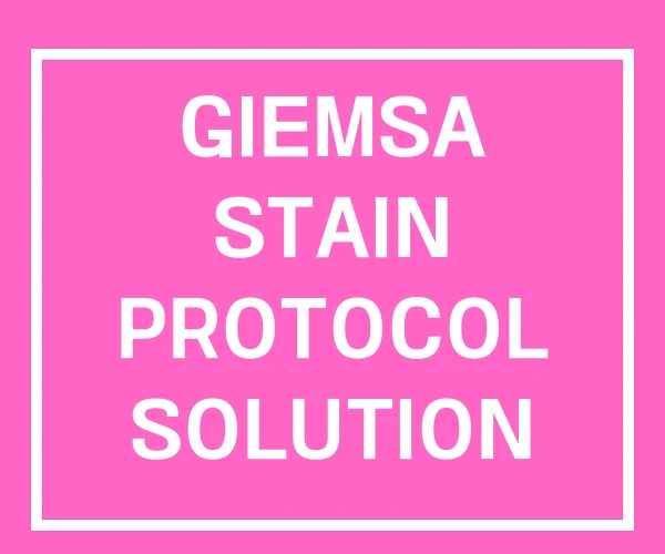 GIEMSA STAIN PROTOCOL SOLUTION 원리 GIEMSA STAIN PROTOCOL SOLUTION 원리