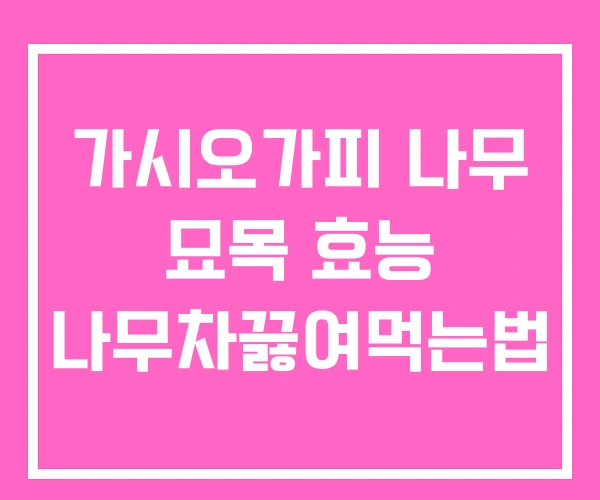 가시오가피 나무 묘목 효능 나무차끓여먹는법 가시오가피 나무 묘목 효능 나무차끓여먹는법