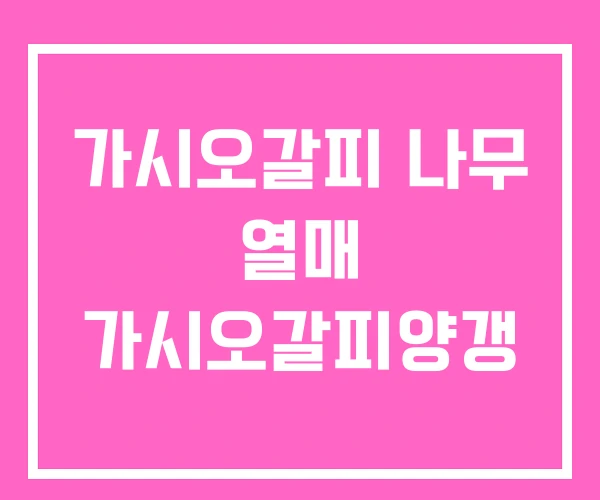 가시오갈피 나무 열매 가시오갈피양갱 가시오갈피 나무 열매 가시오갈피양갱