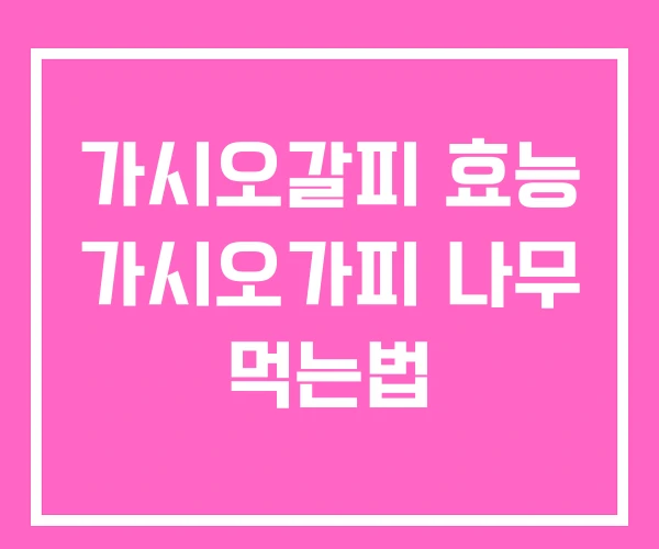 가시오갈피 효능 가시오가피 나무 먹는법