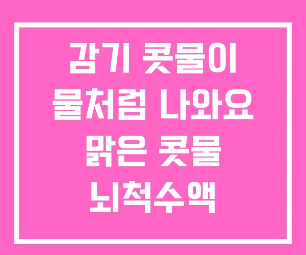 감기 콧물이 물처럼 나와요 맑은 콧물 뇌척수액 감기 콧물이 물처럼 나와요 맑은 콧물 뇌척수액