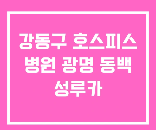 강동구 호스피스 병원 광명 동백 성루카 강동구 호스피스 병원 광명 동백 성루카