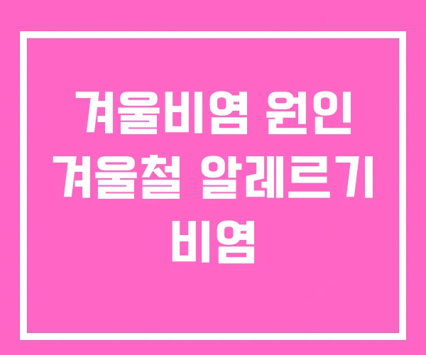 겨울비염 원인 겨울철 알레르기 비염 겨울비염 원인 겨울철 알레르기 비염