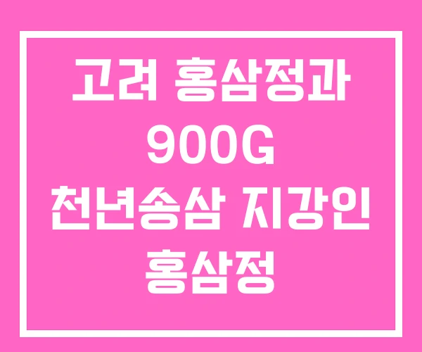 고려 홍삼정과 900G 천년송삼 지강인 홍삼정 고려 홍삼정과 900G 천년송삼 지강인 홍삼정