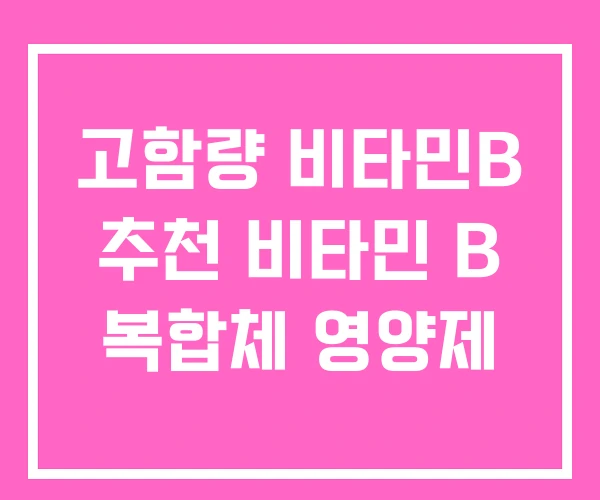 고함량 비타민B 추천 비타민 B 복합체 영양제