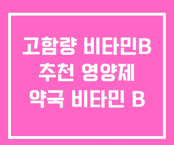 고함량 비타민B 추천 영양제 약국 비타민 B