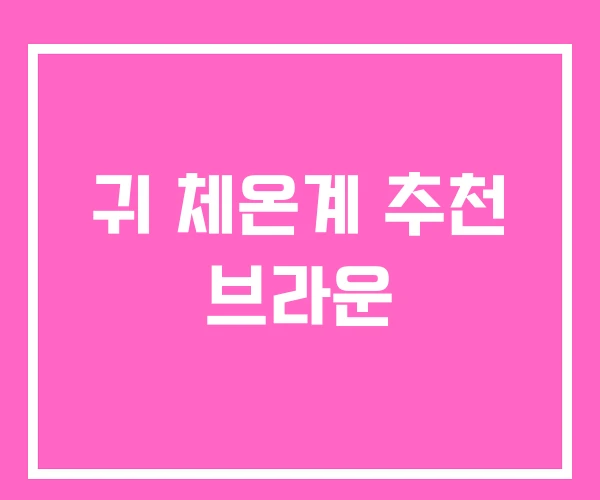 귀 체온계 추천 브라운