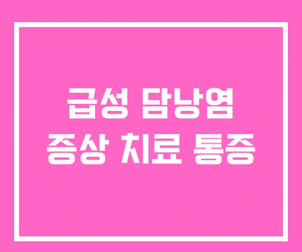 급성 담낭염 증상 치료 통증 급성 담낭염 증상 치료 통증