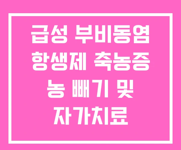 급성 부비동염 항생제 축농증 농 빼기 및 자가치료 급성 부비동염 항생제 축농증 농 빼기 및 자가치료