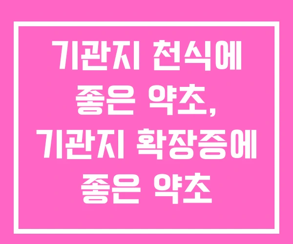 기관지 천식에 좋은 약초, 기관지 확장증에 좋은 약초 기관지 천식에 좋은 약초, 기관지 확장증에 좋은 약초