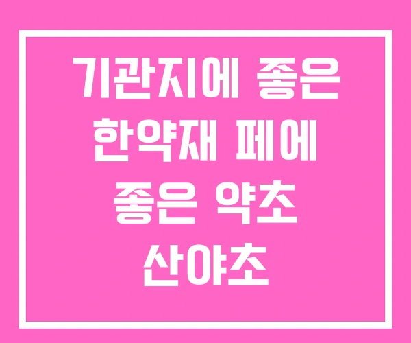 기관지에 좋은 한약재 페에 좋은 약초 산야초 기관지에 좋은 한약재 페에 좋은 약초 산야초