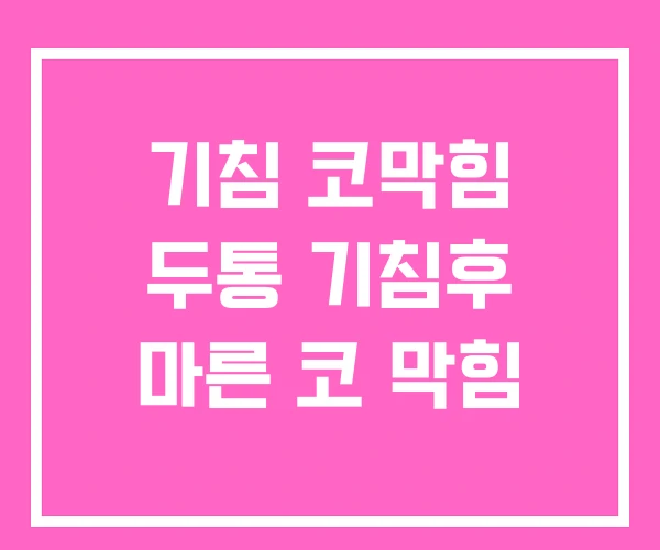 기침 코막힘 두통 기침후 마른 코 막힘 기침 코막힘 두통 기침후 마른 코 막힘
