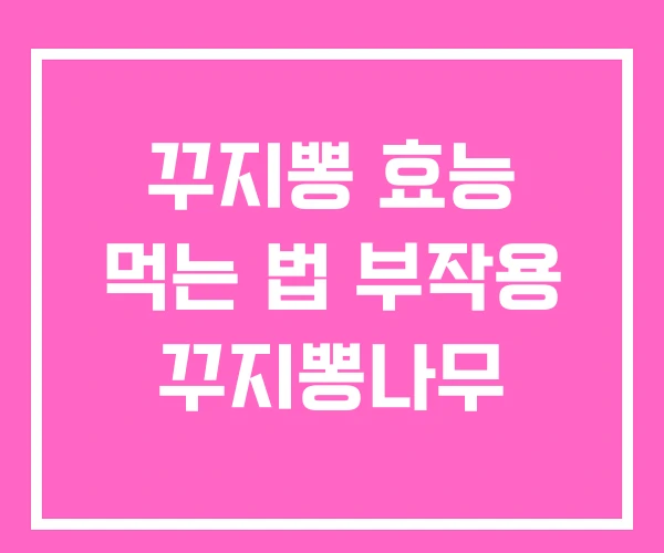 꾸지뽕 효능 먹는 법 부작용 꾸지뽕나무