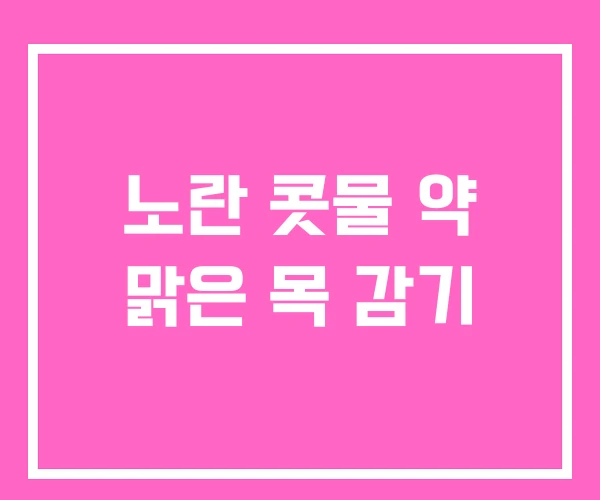 노란 콧물 약 맑은 목 감기 노란 콧물 약 맑은 목 감기