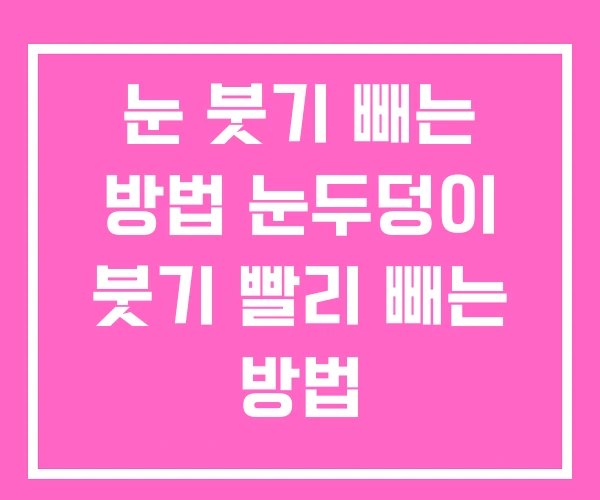 눈 붓기 빼는 방법 눈두덩이 붓기 빨리 빼는 방법 눈 붓기 빼는 방법 눈두덩이 붓기 빨리 빼는 방법