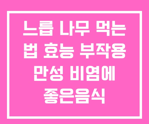 느릅 나무 먹는 법 효능 부작용 만성 비염에 좋은음식