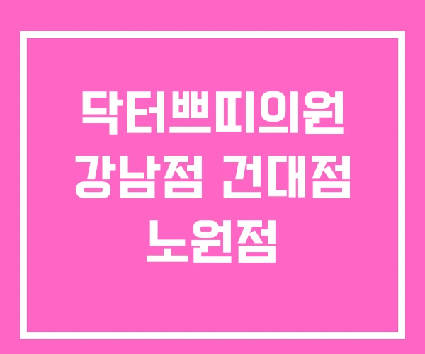 닥터쁘띠의원 강남점 건대점 노원점 닥터쁘띠의원 강남점 건대점 노원점