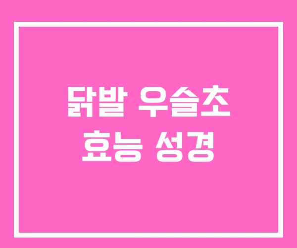 닭발 우슬초 효능 성경