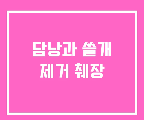 담낭과 쓸개 제거 췌장 담낭과 쓸개 제거 췌장
