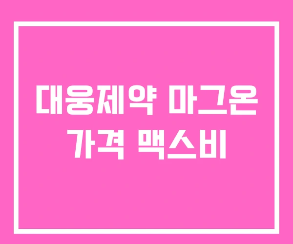 대웅제약 마그온 가격 맥스비 대웅제약 마그온 가격 맥스비