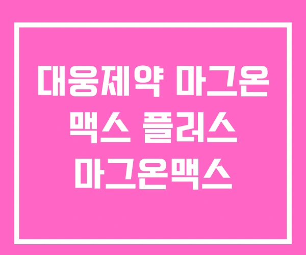 대웅제약 마그온 맥스 플러스 마그온맥스 대웅제약 마그온 맥스 플러스 마그온맥스