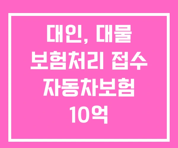 대인, 대물 보험처리 접수 자동차보험 10억 대인, 대물 보험처리 접수 자동차보험 10억