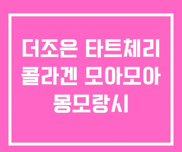 더조은 타트체리 콜라겐 모아모아 몽모랑시