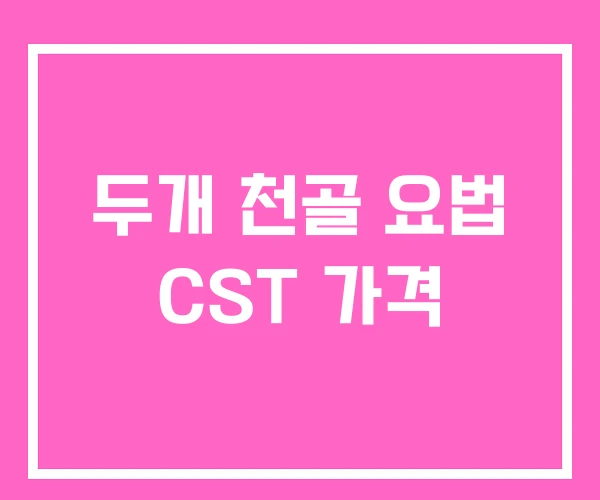 두개 천골 요법 CST 가격 두개 천골 요법 CST 가격
