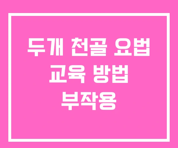 두개 천골 요법 교육 방법 부작용