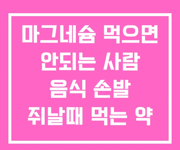 마그네슘 먹으면 안되는 사람 음식 손발 쥐날때 먹는 약 마그네슘 먹으면 안되는 사람 음식 손발 쥐날때 먹는 약