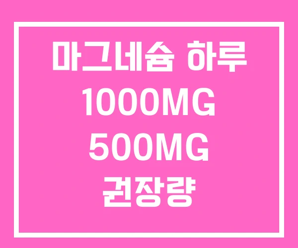 마그네슘 하루 1000MG 500MG 권장량