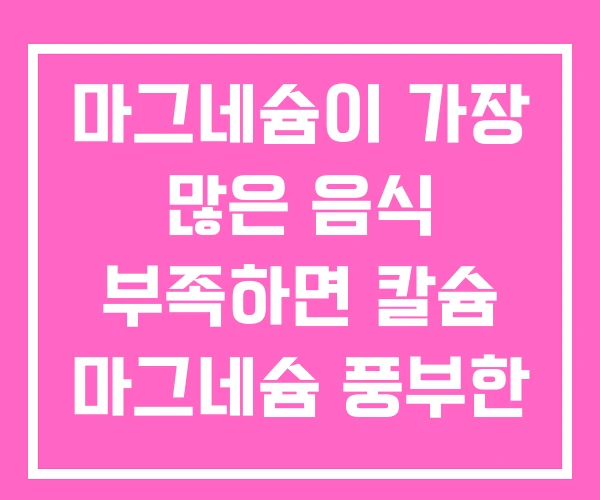 마그네슘이 가장 많은 음식 부족하면 칼슘 마그네슘 풍부한