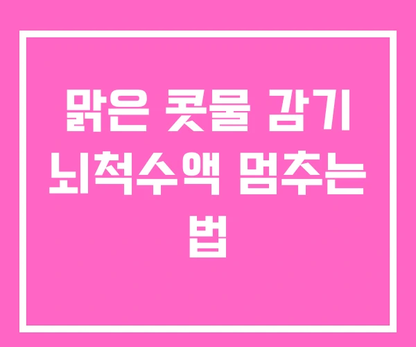 맑은 콧물 감기 뇌척수액 멈추는 법