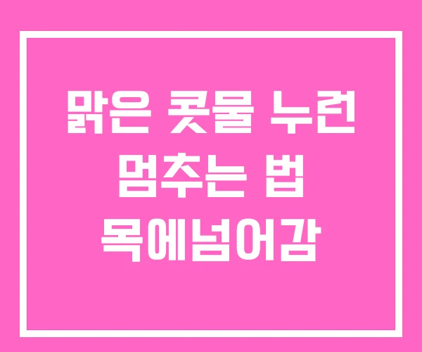 맑은 콧물 누런 멈추는 법 목에넘어감 맑은 콧물 누런 멈추는 법 목에넘어감