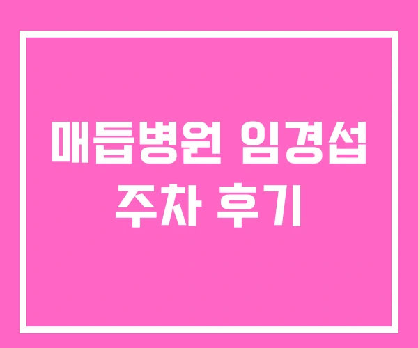 매듭병원 임경섭 주차 후기
