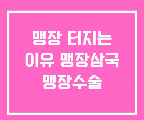 맹장 터지는 이유 맹장삼국 맹장수술