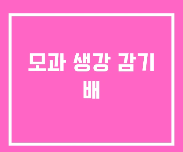모과 생강 감기 배 모과 생강 감기 배