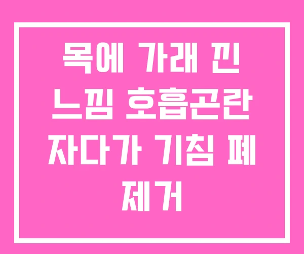 목에 가래 낀 느낌 호흡곤란 자다가 기침 폐 제거 목에 가래 낀 느낌 호흡곤란 자다가 기침 폐 제거