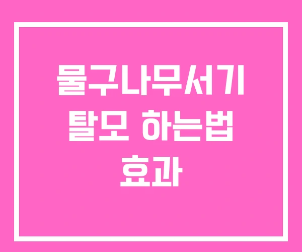 물구나무서기 탈모 하는법 효과