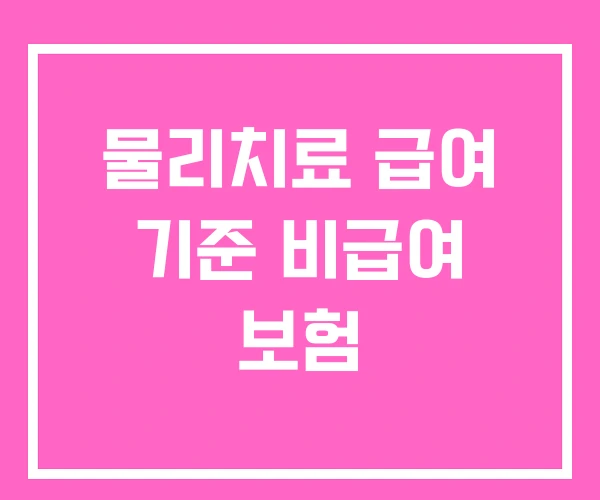 물리치료 급여 기준 비급여 보험 물리치료 급여 기준 비급여 보험