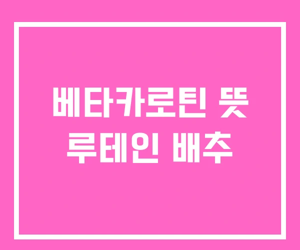 베타카로틴 뜻 루테인 배추