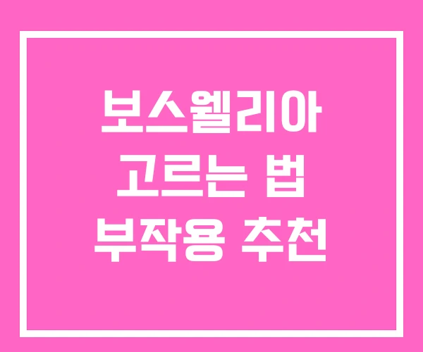 보스웰리아 고르는 법 부작용 추천