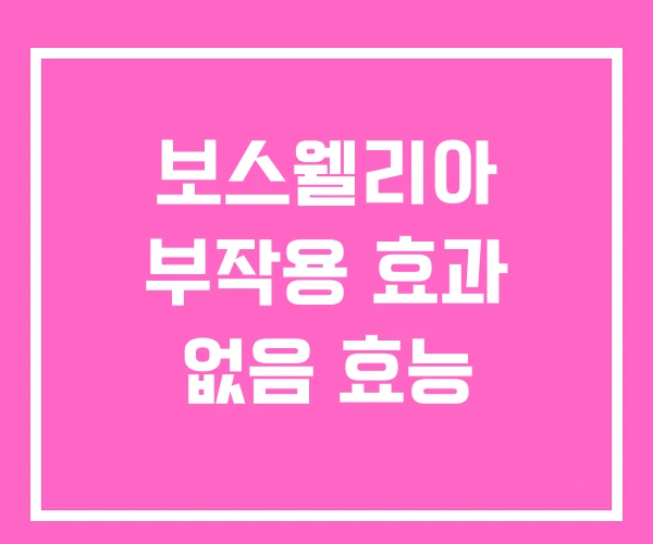 보스웰리아 부작용 효과 없음 효능