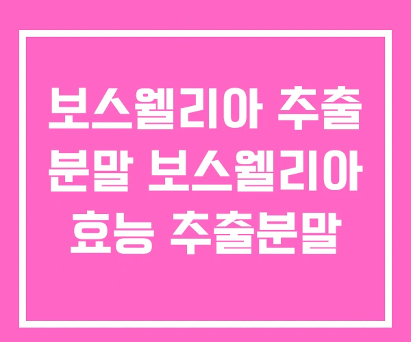 보스웰리아 추출 분말 보스웰리아 효능 추출분말